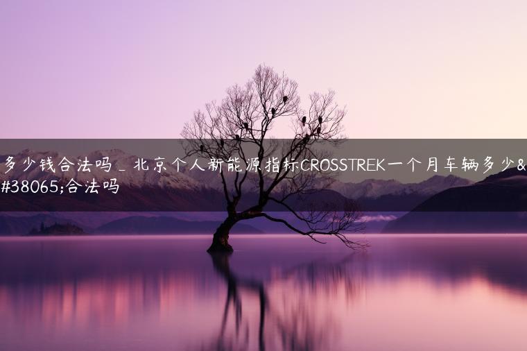 多少钱合法吗_北京个人新能源指标CROSSTREK一个月车辆多少钱合法吗