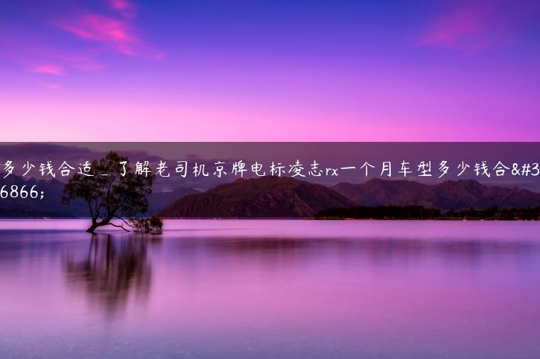 多少钱合适_了解老司机京牌电标凌志rx一个月车型多少钱合适