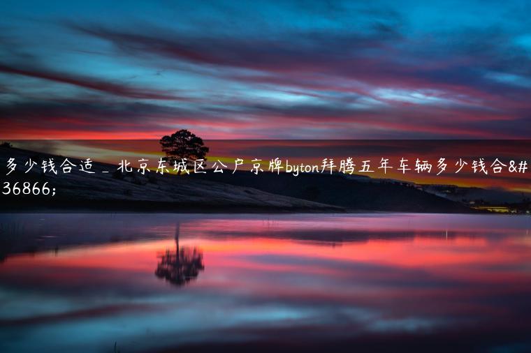 多少钱合适_北京东城区公户京牌byton拜腾五年车辆多少钱合适