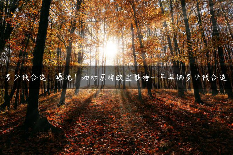 多少钱合适_曝光！油标京牌欧宝雅特一年车辆多少钱合适