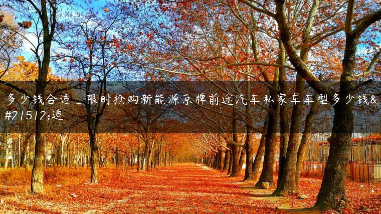 多少钱合适_限时抢购新能源京牌前途汽车私家车车型多少钱合适