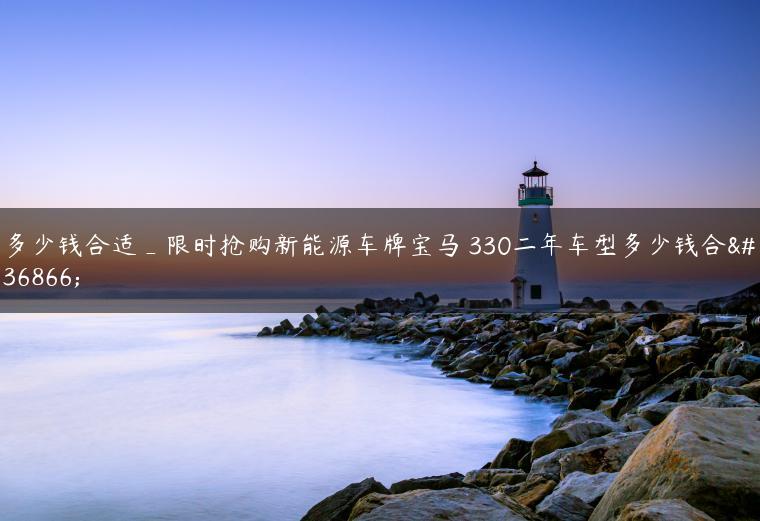 多少钱合适_限时抢购新能源车牌宝马 330二年车型多少钱合适