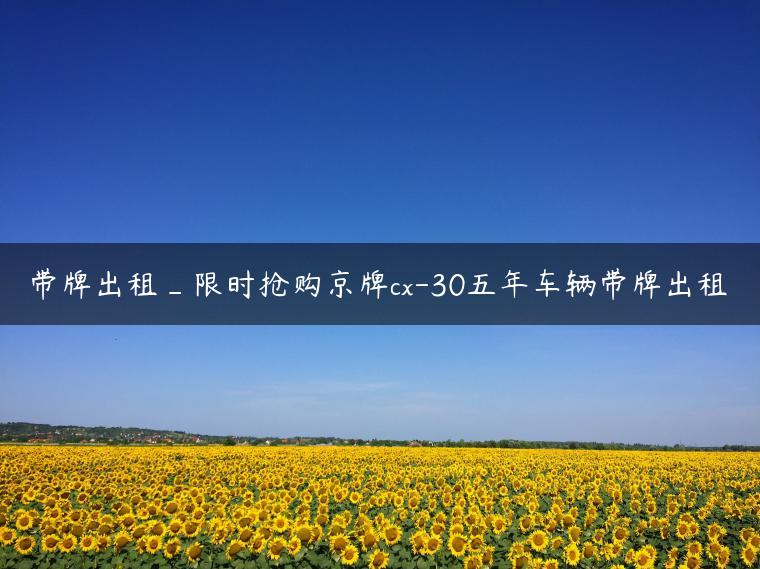 带牌出租_限时抢购京牌cx-30五年车辆带牌出租