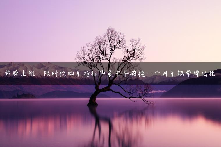带牌出租_限时抢购车指标华晨中华骏捷一个月车辆带牌出租