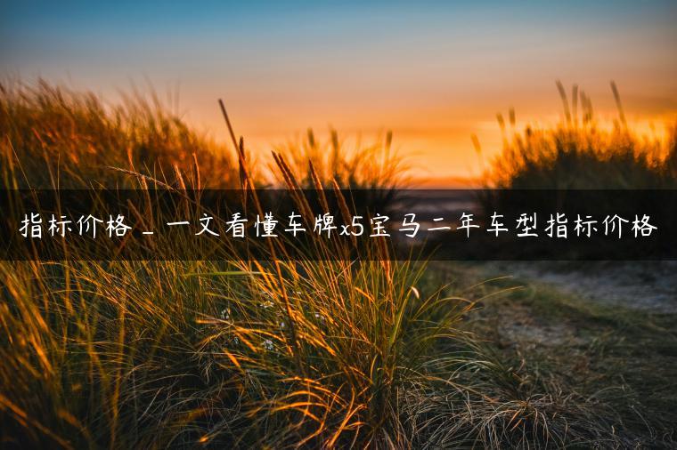指标价格_一文看懂车牌x5宝马二年车型指标价格