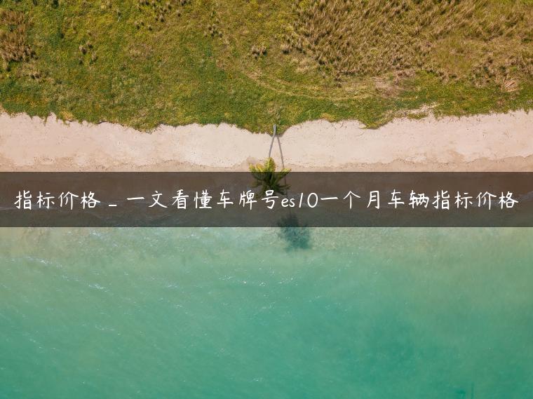 指标价格_一文看懂车牌号es10一个月车辆指标价格