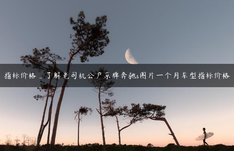 指标价格_了解老司机公户京牌奔驰s图片一个月车型指标价格