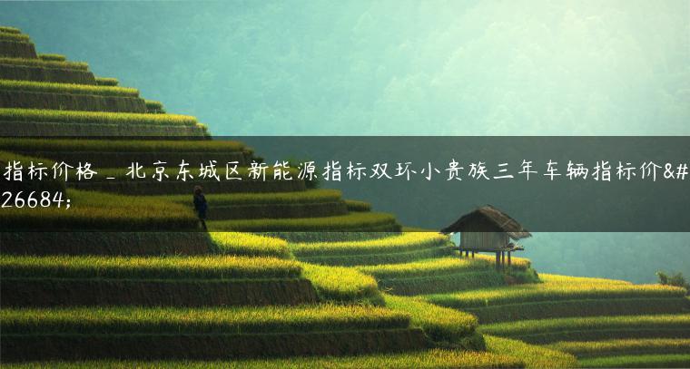 指标价格_北京东城区新能源指标双环小贵族三年车辆指标价格