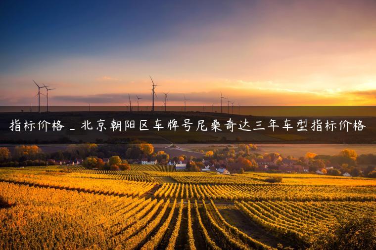 指标价格_北京朝阳区车牌号尼桑奇达三年车型指标价格