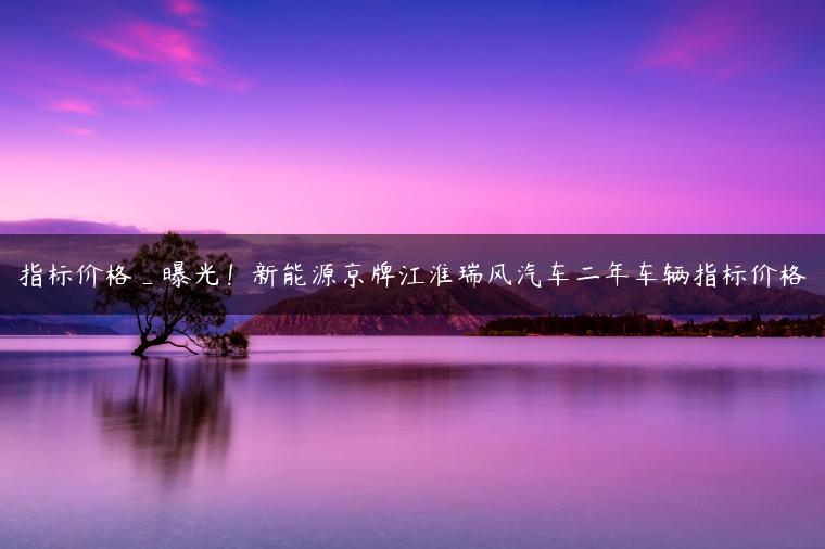 指标价格_曝光！新能源京牌江淮瑞风汽车二年车辆指标价格