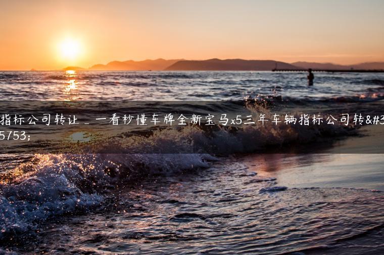 指标公司转让_一看秒懂车牌全新宝马x5三年车辆指标公司转让