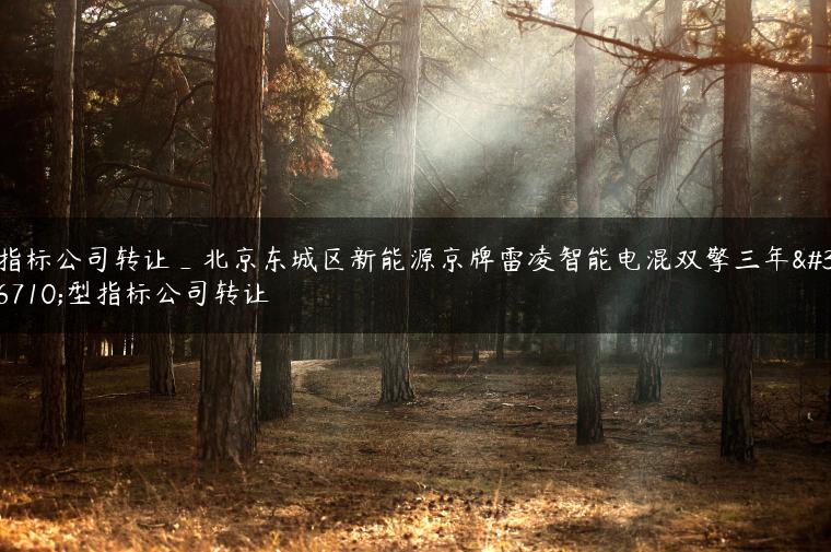 指标公司转让_北京东城区新能源京牌雷凌智能电混双擎三年车型指标公司转让