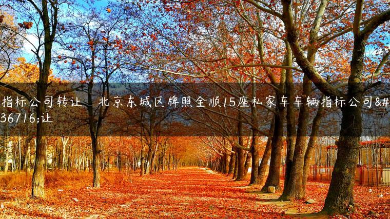 指标公司转让_北京东城区牌照全顺15座私家车车辆指标公司转让