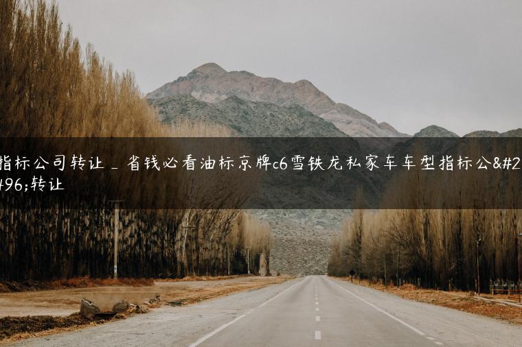 指标公司转让_省钱必看油标京牌c6雪铁龙私家车车型指标公司转让