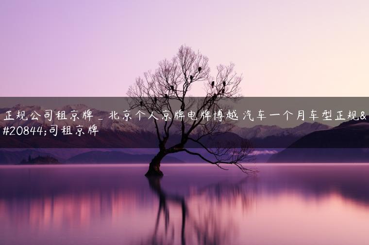 正规公司租京牌_北京个人京牌电牌博越 汽车一个月车型正规公司租京牌