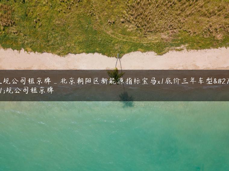 正规公司租京牌_北京朝阳区新能源指标宝马x1底价三年车型正规公司租京牌