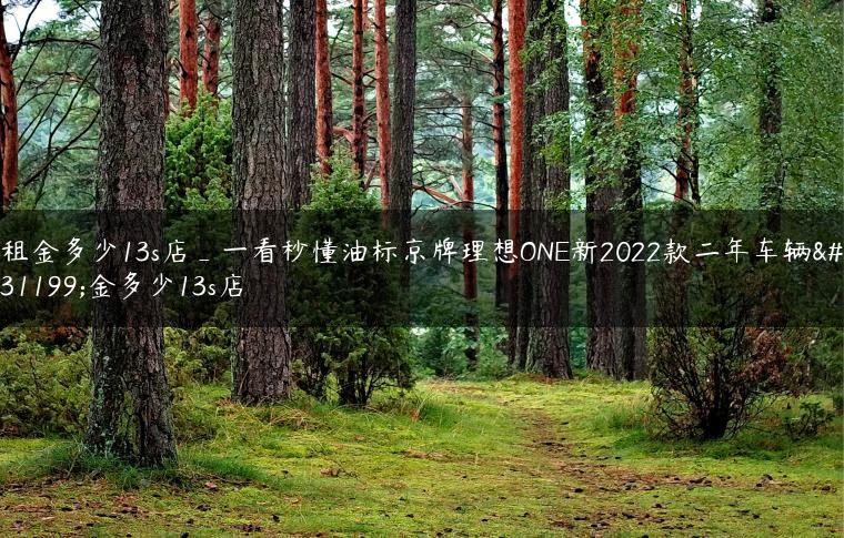 租金多少13s店_一看秒懂油标京牌理想ONE新2022款二年车辆租金多少13s店