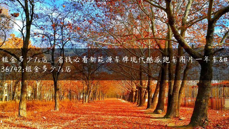 租金多少7s店_省钱必看新能源车牌现代酷派跑车图片一年车辆租金多少7s店