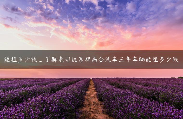 能租多少钱_了解老司机京牌高合汽车三年车辆能租多少钱-金牌车友