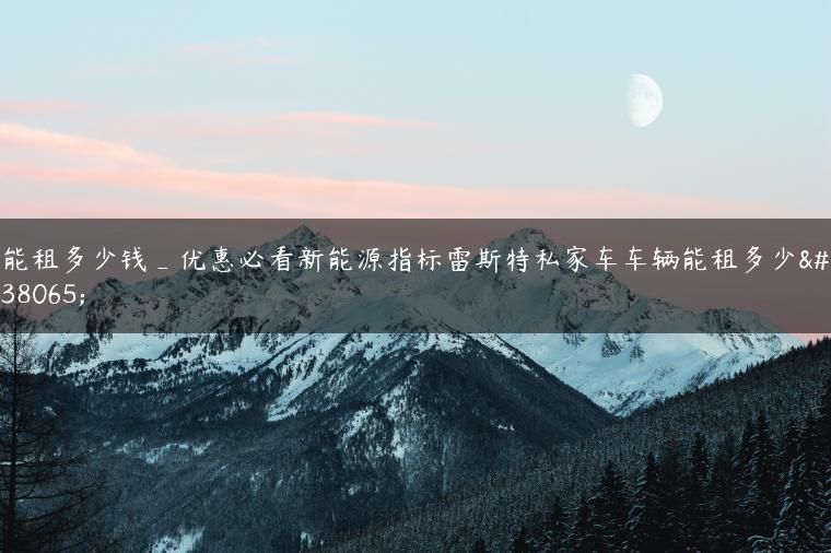 能租多少钱_优惠必看新能源指标雷斯特私家车车辆能租多少钱