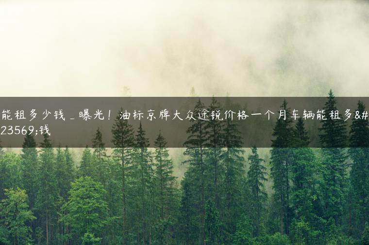 能租多少钱_曝光！油标京牌大众途锐价格一个月车辆能租多少钱