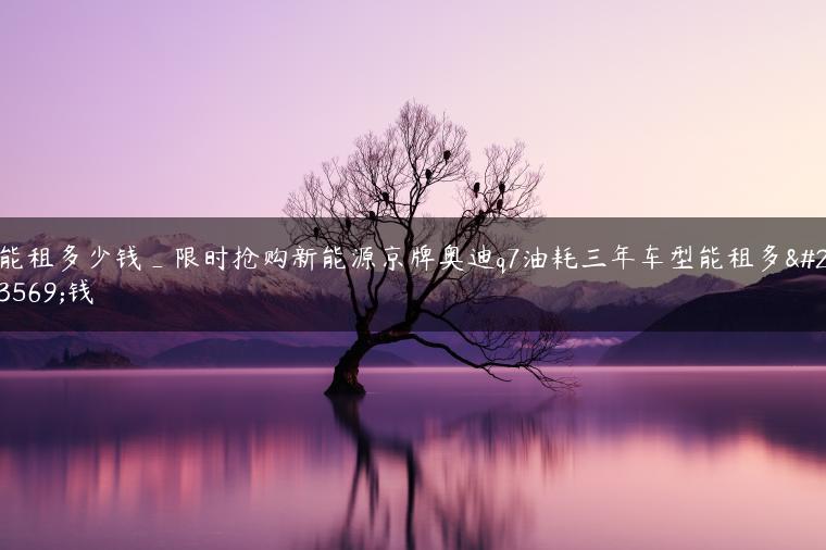 能租多少钱_限时抢购新能源京牌奥迪q7油耗三年车型能租多少钱