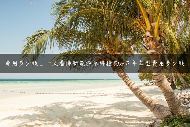 费用多少钱_一文看懂新能源京牌捷豹xe五年车型费用多少钱