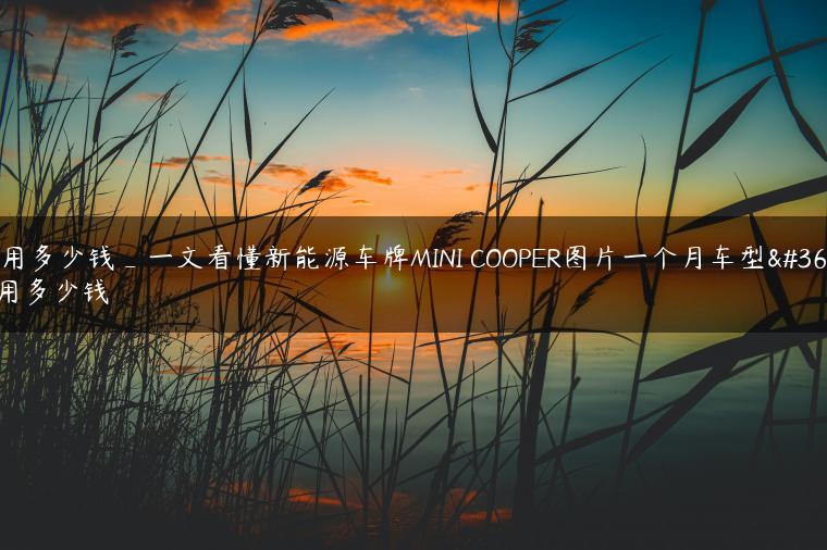 费用多少钱_一文看懂新能源车牌MINI COOPER图片一个月车型费用多少钱