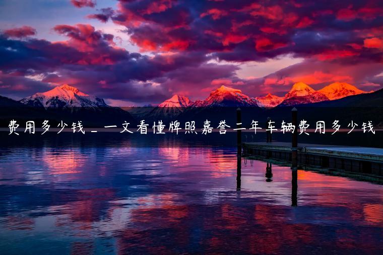 费用多少钱_一文看懂牌照嘉誉二年车辆费用多少钱