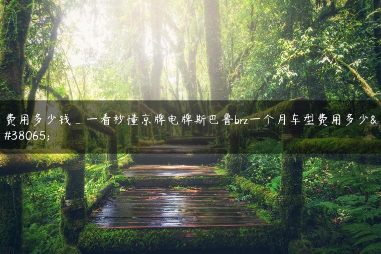费用多少钱_一看秒懂京牌电牌斯巴鲁brz一个月车型费用多少钱