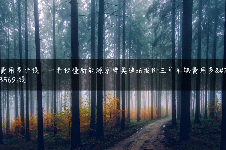 费用多少钱_一看秒懂新能源京牌奥迪a6报价三年车辆费用多少钱