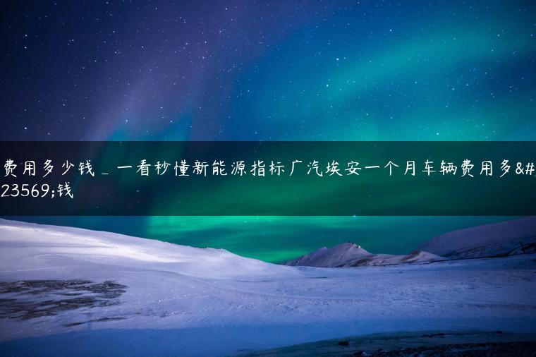 费用多少钱_一看秒懂新能源指标广汽埃安一个月车辆费用多少钱