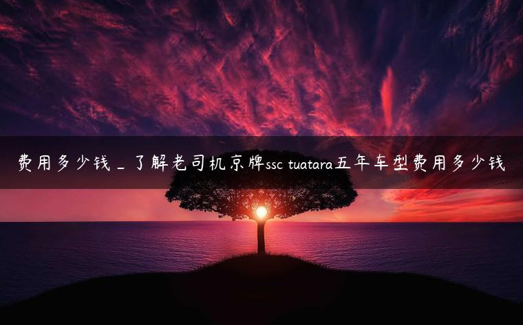 费用多少钱_了解老司机京牌ssc tuatara五年车型费用多少钱