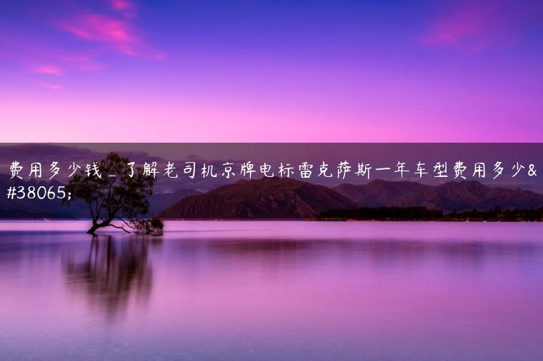 费用多少钱_了解老司机京牌电标雷克萨斯一年车型费用多少钱