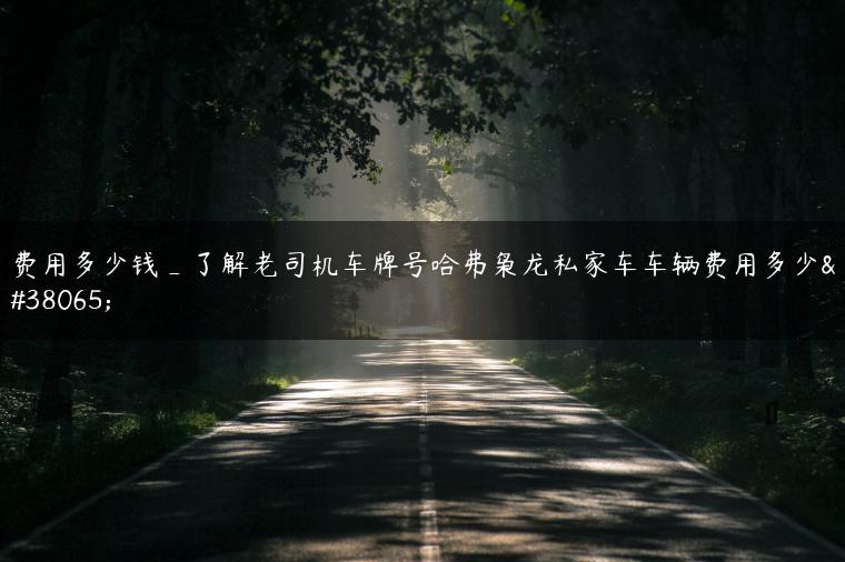 费用多少钱_了解老司机车牌号哈弗枭龙私家车车辆费用多少钱