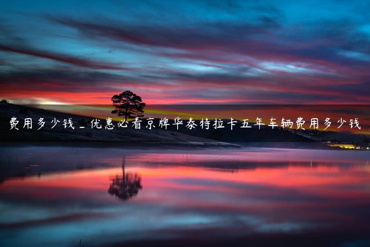 费用多少钱_优惠必看京牌华泰特拉卡五年车辆费用多少钱