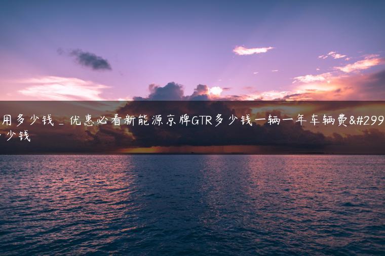 费用多少钱_优惠必看新能源京牌GTR多少钱一辆一年车辆费用多少钱