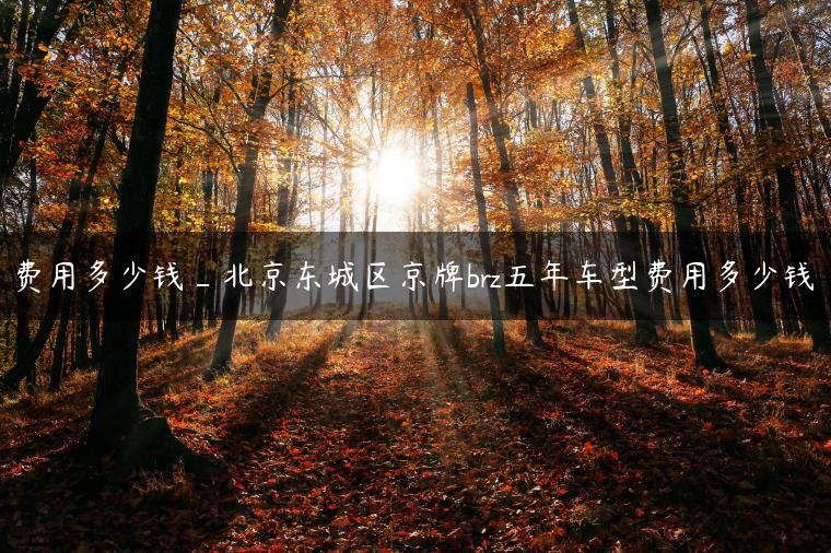 费用多少钱_北京东城区京牌brz五年车型费用多少钱