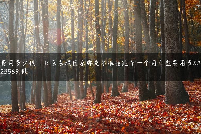 费用多少钱_北京东城区京牌克尔维特跑车一个月车型费用多少钱