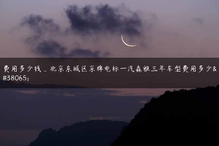 费用多少钱_北京东城区京牌电标一汽森雅三年车型费用多少钱