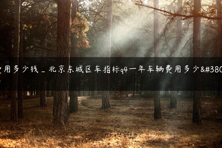 费用多少钱_北京东城区车指标q4一年车辆费用多少钱