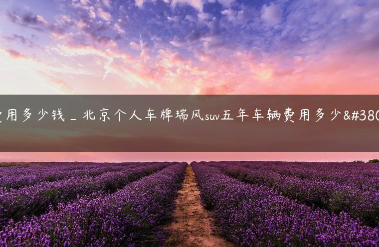 费用多少钱_北京个人车牌瑞风suv五年车辆费用多少钱