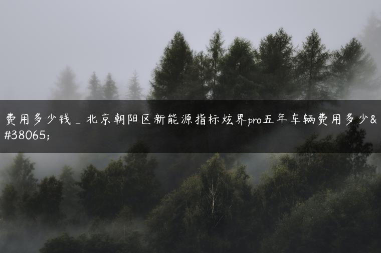 费用多少钱_北京朝阳区新能源指标炫界pro五年车辆费用多少钱