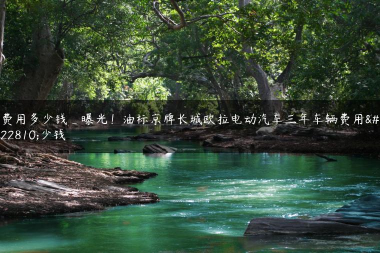 费用多少钱_曝光！油标京牌长城欧拉电动汽车三年车辆费用多少钱