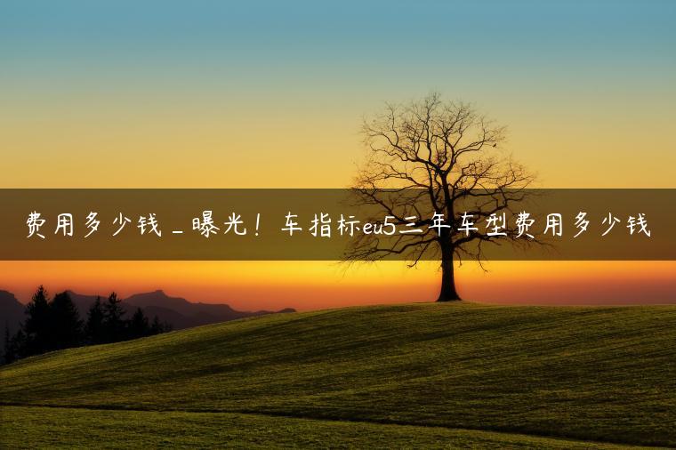 费用多少钱_曝光！车指标eu5三年车型费用多少钱