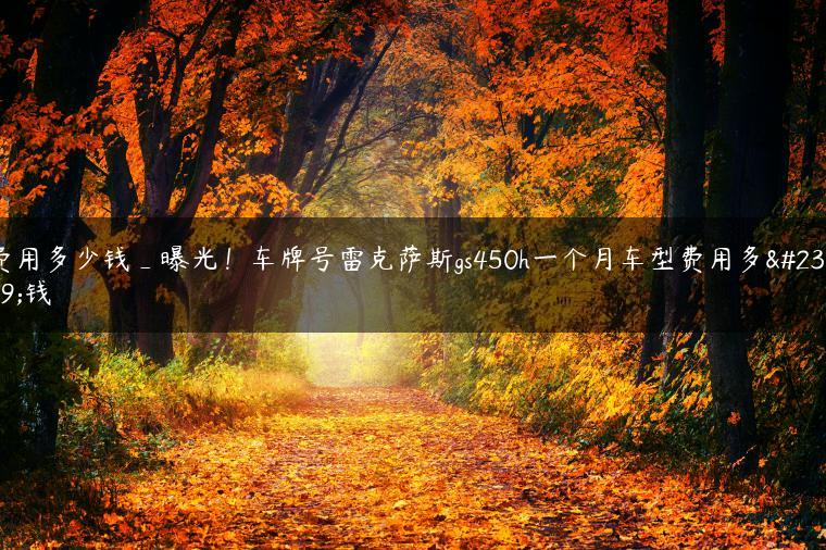 费用多少钱_曝光！车牌号雷克萨斯gs450h一个月车型费用多少钱