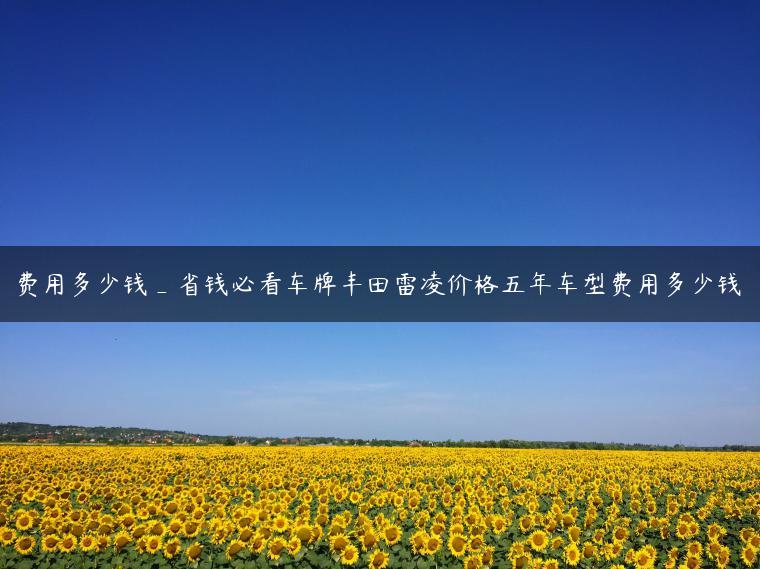费用多少钱_省钱必看车牌丰田雷凌价格五年车型费用多少钱