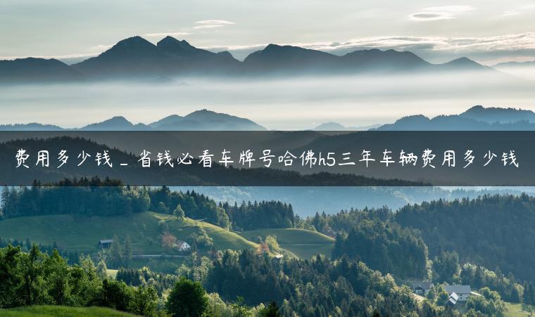 费用多少钱_省钱必看车牌号哈佛h5三年车辆费用多少钱