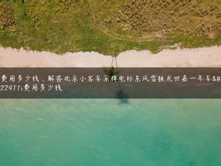 费用多少钱_解答北京小客车京牌电标东风雪铁龙世嘉一年车型费用多少钱