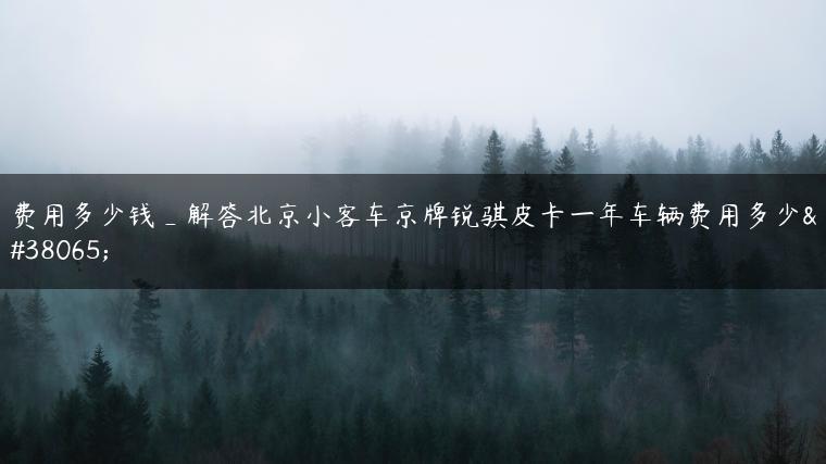 费用多少钱_解答北京小客车京牌锐骐皮卡一年车辆费用多少钱